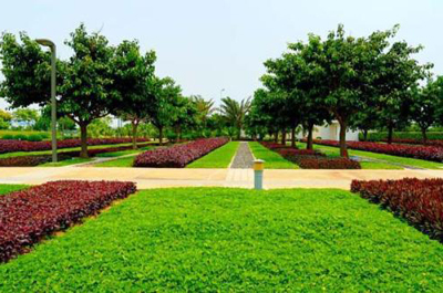 綠滿邕城 南寧園林綠化、庭院美化與專業(yè)工程服務的全方位解析